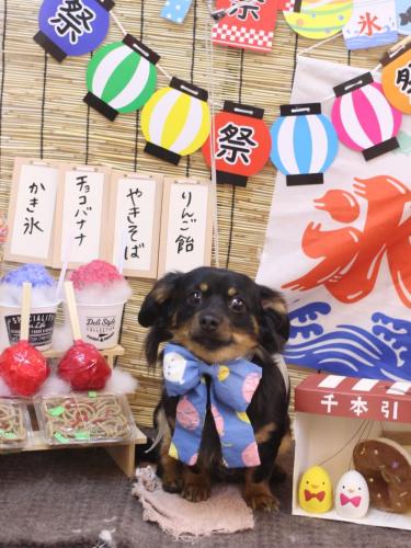 20240714のあくん